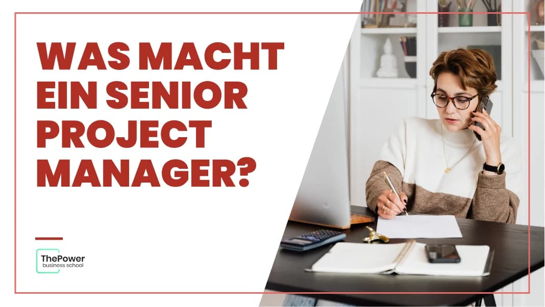 Senior Project manager