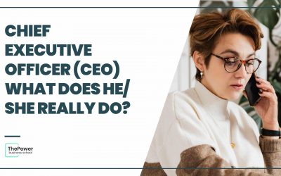 Chief Executive Officer (CEO). What does he/she REALLY do?