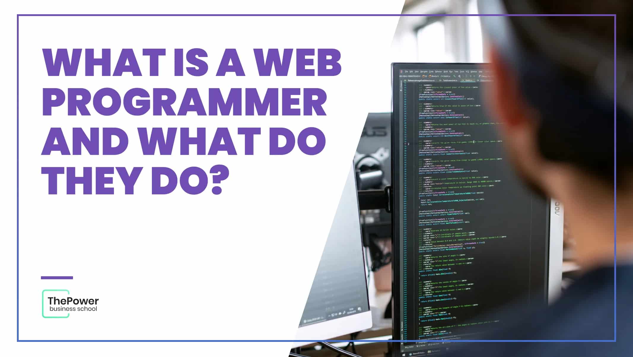 Web Programmer