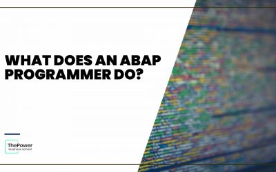 What does an ABAP programmer do?