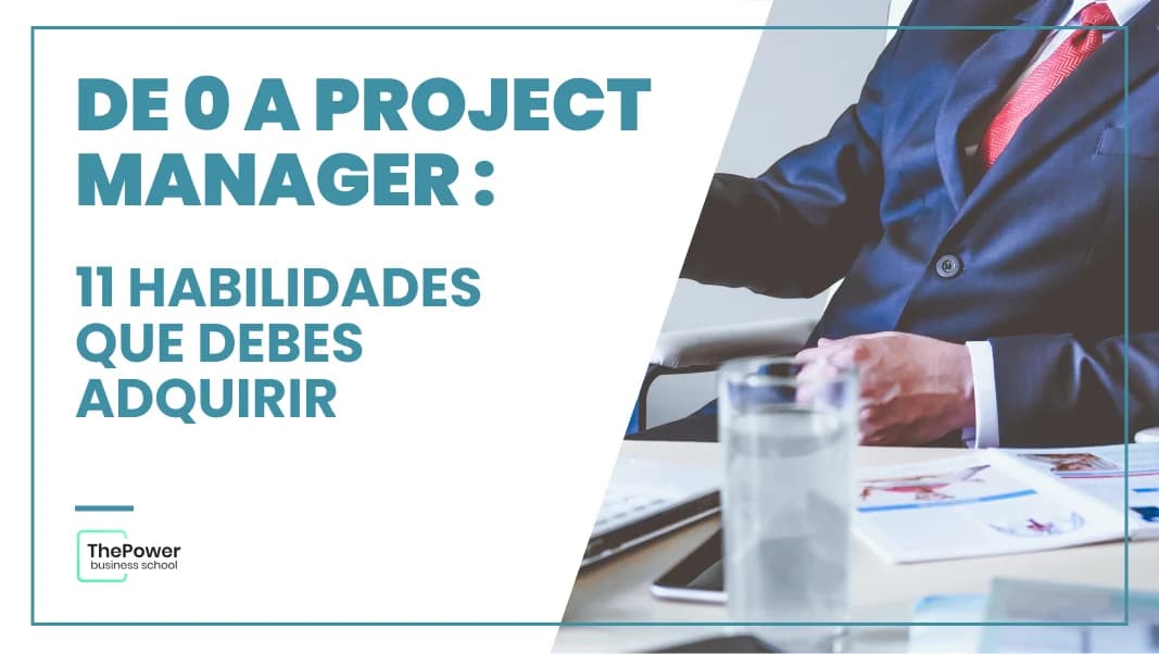 Project manager